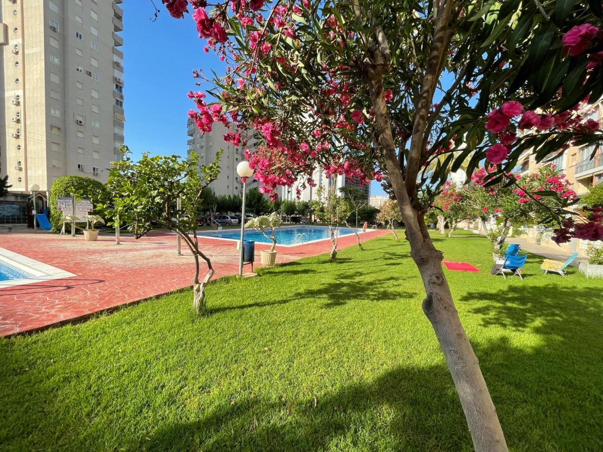 Beach Studio Apartment Hannibal La Cala Finestrat Benidorm Exterior photo